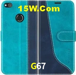 Experiência VIP G67